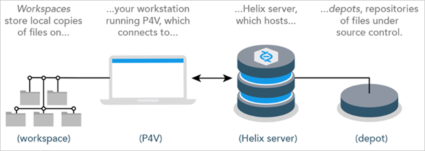 P4V environment diagam