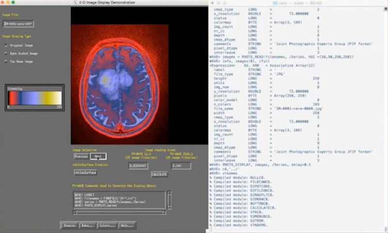 Perforce PV-WAVE screenshot.