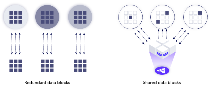 Space efficient data illustrtion, Delphix.